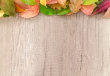 Co można postawić w granicy bez zgody sąsiada?