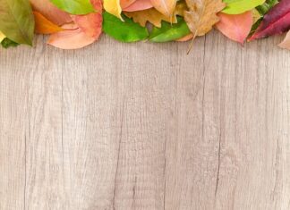 Co można postawić w granicy bez zgody sąsiada?