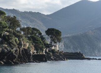 Ile kosztuje hydro łapa? Ile kosztuje hydro łapa?