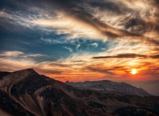 Do której godziny latają pszczoły? Do której godziny latają pszczoły?