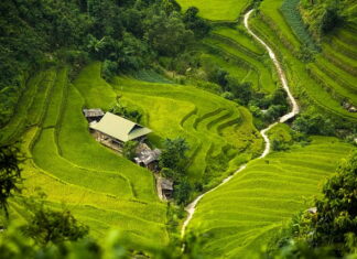 Czy izolacja kominka jest konieczna?