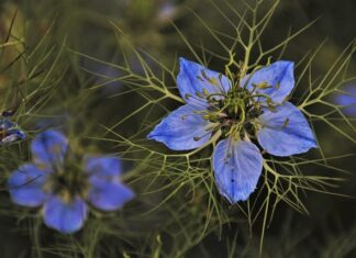 Jakie dodatki do zielonej łazienki? Jakie dodatki do zielonej łazienki?