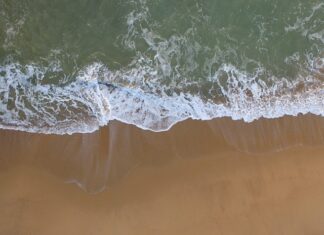 Jak ożywić szara łazienkę? Jak ożywić szara łazienkę?