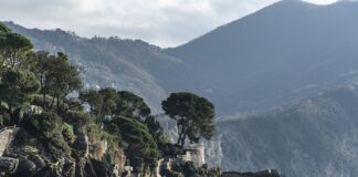 Ile kosztuje wymiana tarcz i klocków 2023?