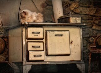 Jakim drewnem palić w kozie?