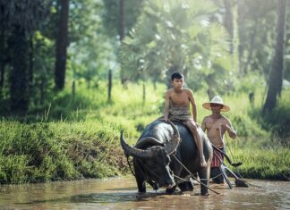 Co kupić dla rolnika?