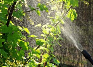 Co grozi za opryski w dzień? Co grozi za opryski w dzień?