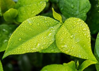 Jaki kolor pasuje do zielonych płytek? Jaki kolor pasuje do zielonych płytek?