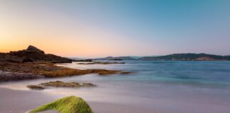 Ile płacą za godzinę pracy na budowie?