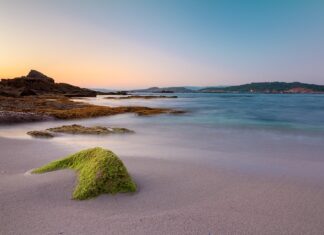 Ile płacą za godzinę pracy na budowie?