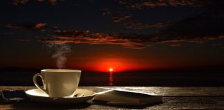 Ile kosztuje nieuzasadnione wezwanie ochrony?