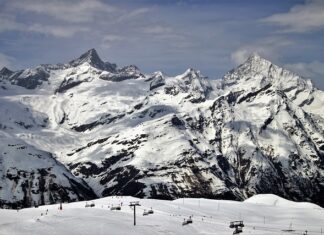 Czy warto kupić quada CF Moto 520?