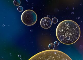 Co ile wymiana oleju 5W40 Diesel?