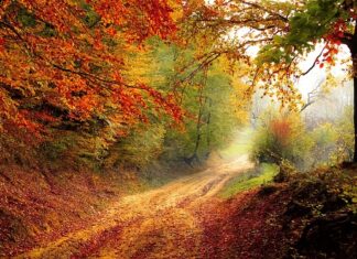 Czy rok produkcji akumulatora ma znaczenie? Czy rok produkcji akumulatora ma znaczenie?