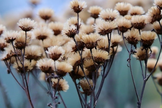 Kiedy Astra 6? Kiedy Astra 6?