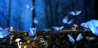 Dlaczego strzela drewno w kominku?