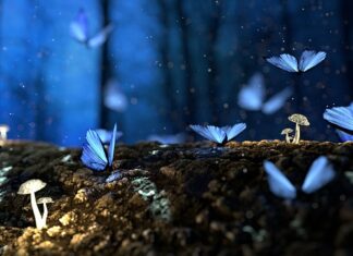 Dlaczego strzela drewno w kominku?