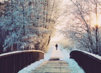 Ile dni schnie masa cukrowa?
