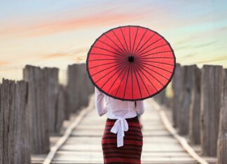 Czy w ulu mogą stać na słońcu?